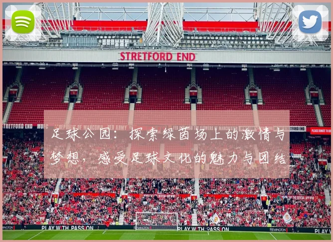 足球公园：探索绿茵场上的激情与梦想，感受足球文化的魅力与团结