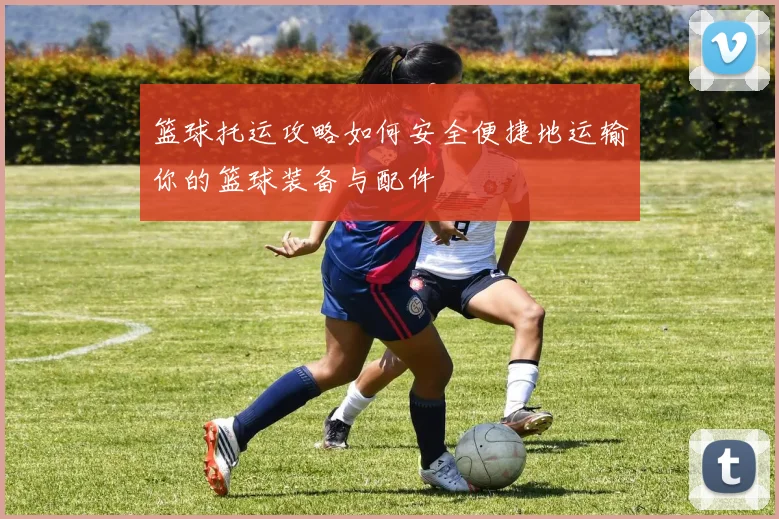 篮球托运攻略如何安全便捷地运输你的篮球装备与配件